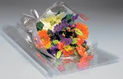product-image-6449140110-NorengrosProduct-WorkingFormat.jpg