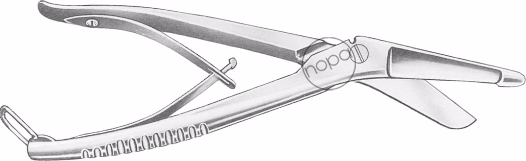 479602_productimage_1.jpg