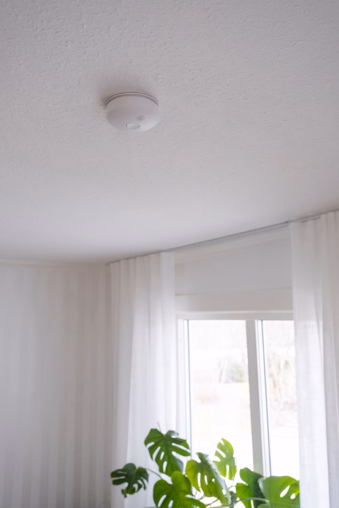 480126_galleryimage_3.jpg